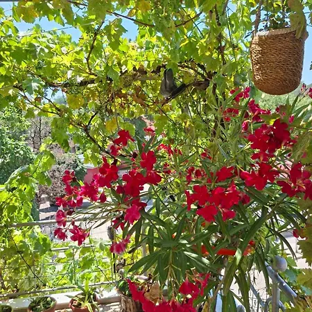 דירה 2-bedroom Flat - Sunny Balcony