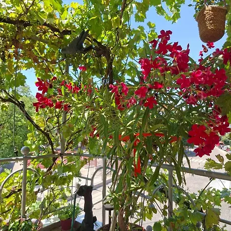 דירה 2-bedroom Flat - Sunny Balcony *