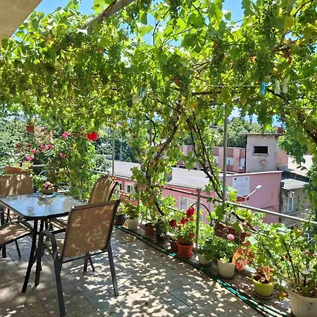 Sunny Balcony 2br Center *
