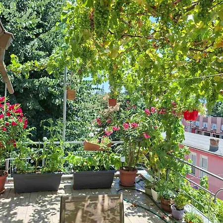 Sunny Balcony 2br Center 公寓 普罗夫迪夫